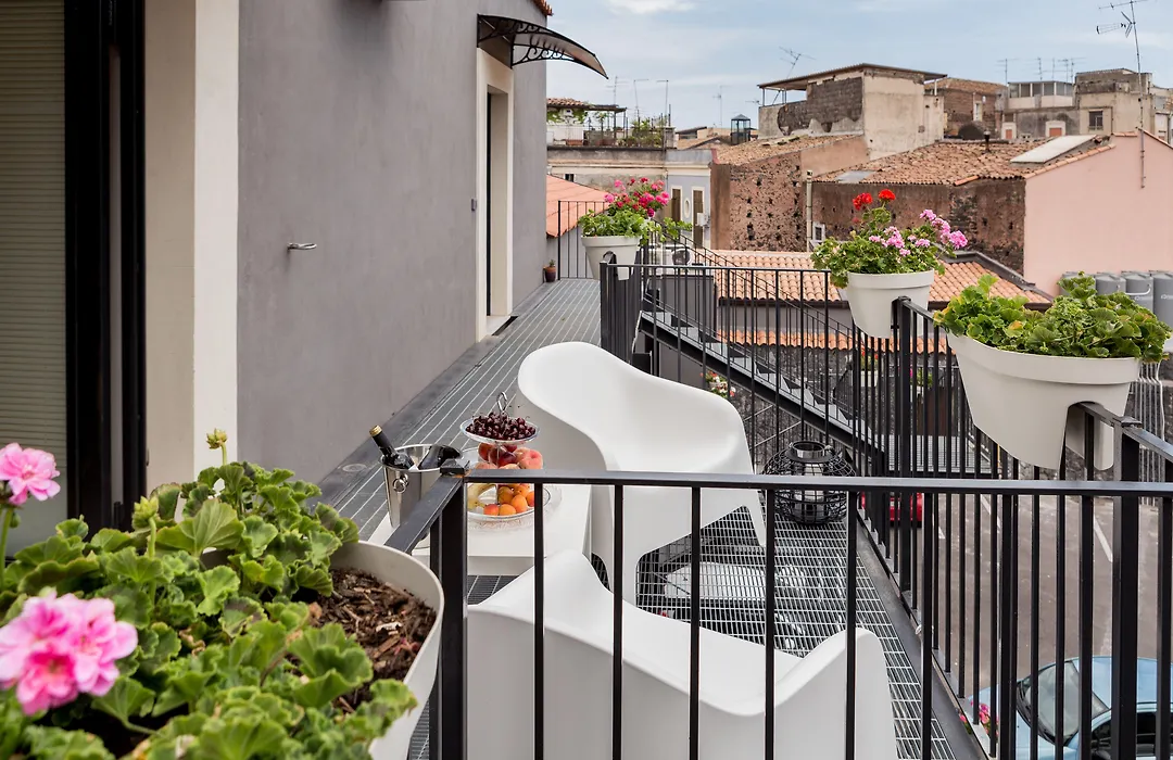 Scuto Home-1